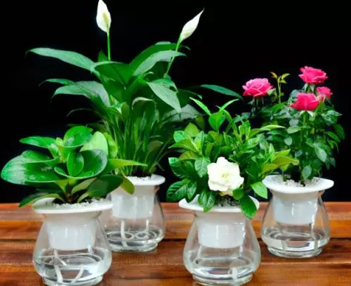 除甲醛公司靠譜嗎？錢花了真的能去除甲醛嗎？
